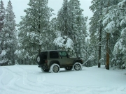 walt_in_snow
