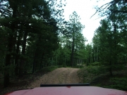 early_trail