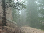 around_a_rock