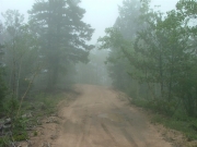 early_trail