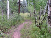 meadow_part_2