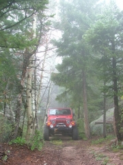 monica_in_the_trees