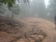 sluice_part_5