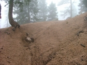sluice_part_7
