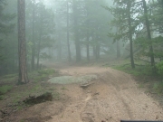 trail_after_trickle