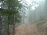 trail_to_nowhere
