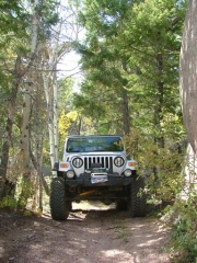 don_on_the_trail