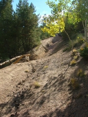 rapids