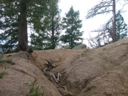 sluice_part_3