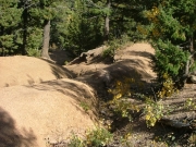 top_of_the_hill