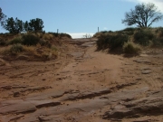 end_of_the_trail