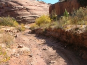 narrow_section