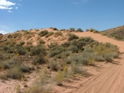 sand_hill