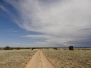 dirt_track
