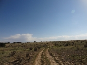 on_the_way_out