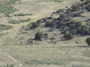 spanish_mission