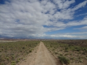 early_trail