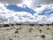 little-used_trail