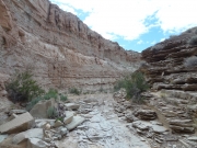 ravine_part_1