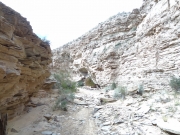 ravine_part_3