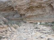 ravine_part_5