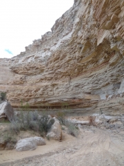 ravine_part_6