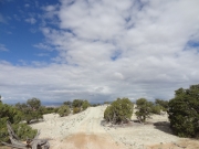 white_dirt