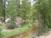 ditch_curve