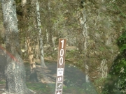 forest_service_sign
