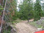 up_the_rough_hill