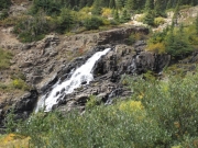the_falls