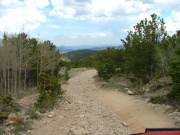 big_view