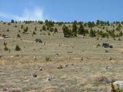 coming_down_the_trail