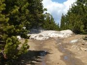 snow_next_to_the_trail