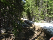 trail_in_snow