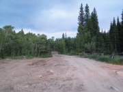 mellow_trail
