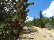 bumpy_or_rocky_option