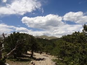 down_yankee_hill_part_1