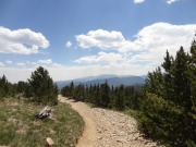 down_yankee_hill_part_2