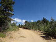 forest_boundary