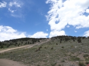 yankee_hill_part_1