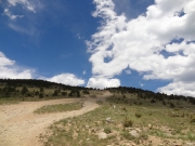yankee_hill_part_3