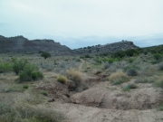 ditch