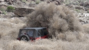 monica_in_tumbleweeds