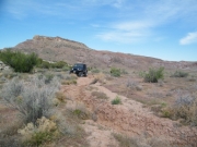 terry_on_the_trail
