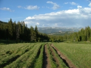big_view