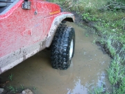 monica_in_a_puddle