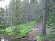mud_2