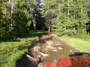 muddy