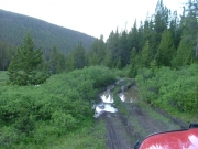 ruts